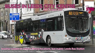 Buses in Leeds City Centre  29082023 w GLovesTrains [upl. by Comfort]