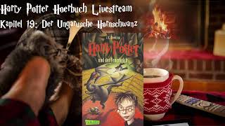 Harry Potter und der Feuerkelch LIVESTREAM Deutsch 7 podcast Harry Potter Hörbuch zum Einschlafen [upl. by Adlen]