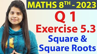 Q 1  Ex 53  Square and Square Roots  NCERT Maths Class 8th  Chapter 5 New Syllabus CBSE 2023 [upl. by Neyuh]