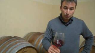 Barbera dAlba 2009 Sandri [upl. by Nivled]