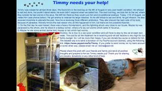 Timmy is sick and needs your help [upl. by Veedis]