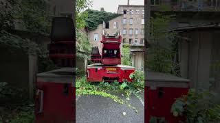 MEGA FEUERWEHR FRIEDHOF GEFUNDENALLES VOLLER ALTER FAHRZEUGEshorts feuerwehr urbex viralshorts [upl. by Bills]