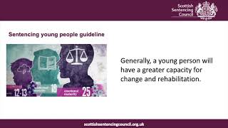 Scottish Sentencing Council lecture – guidelines [upl. by Lagas480]