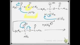 Synthesis of Acetamide from Acetic Anhydride RXN Mechanism [upl. by Neelat95]