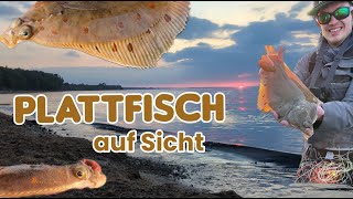 Fliegenfischen gezielt auf Plattfisch an der Ostsee [upl. by Michael941]