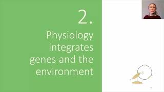 Intraspecific variation in a DEB framework [upl. by Ihc]