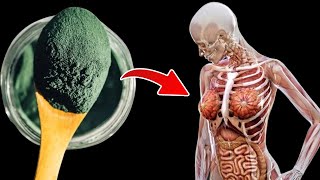 Top 7 Powerful Spirulina Benefits You Need To Know [upl. by Everett799]