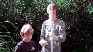 How to take out Pampas Grass  Bonus Taking on a monster [upl. by Iain]