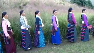 Culture From Rasuwa district Nepal sochi yala so ya [upl. by Garret]