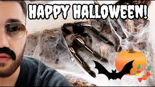 TARANTULA FEEDING VIDEO HALLOWEEN SPECIAL [upl. by Ciccia]