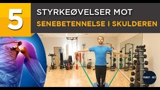 5 Styrkeøvelser mot Senebetennelse i Skulderen med strikk [upl. by Katonah]