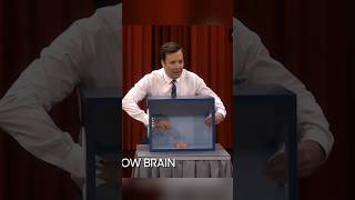 Jimmy Fallon touched cow brain 🧠 [upl. by Amol]