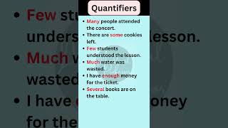 Quantifiers in English Grammar  Basic English Grammar shorts [upl. by Ecissej872]