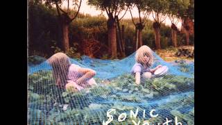 Sonic Youth  Disconnection Notice acoustic [upl. by Iman598]