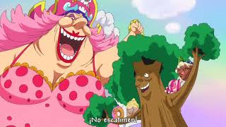 Big moms Song Totto land 786 One piece [upl. by Valerio]