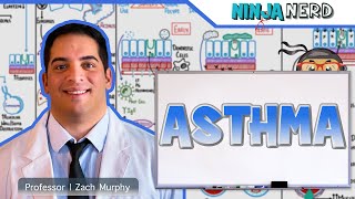 Asthma  Clinical Medicine [upl. by Nylekcaj781]