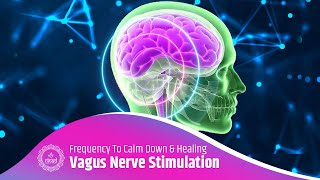 Vagus Nerve Stimulation Music Regulate Nervous System Frequency  Frequency To Calm Down amp Healing [upl. by Etti]