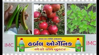 IMC AGRO GROWTH BOOSTERSUDIP SUTHAR  IMC BUSINESS PRODUCTS IMC AGRO BOOSTER [upl. by Dalia787]