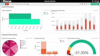 Phocas 4minute miracle AustraliaNew Zealand  business intelligence video [upl. by Grube885]