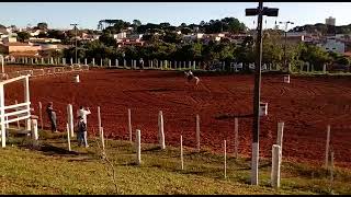 tres tambores Expoagro itapetininga 2023 melhor tempo da classificatória categoria mirim [upl. by Siclari]