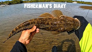 Tingalpa Creek Lure Fishing For Bream And Flathead  Fishermans Diary Ep 759 [upl. by Giulia]