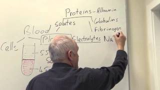 Plasma constituents and functions [upl. by Edmon612]