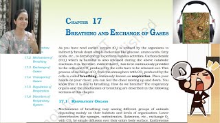 Breathing and Exchange of Gases NCERT Reading  NCERT Class11 BiologyAudiobookNCERT Biology Class11 [upl. by Urion252]