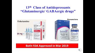 Novel Fast Acting Antidepressants ketamine Esketamine amp Brexanolone Prof Sawsan AboulFotouh [upl. by Suoilenroc979]