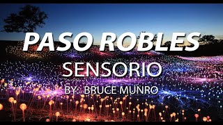 SENSORIO PASO ROBLES BY BRUCE MUNRO [upl. by Ainotal]