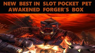 Neverwinter  NEW BIS Pocket Pet  Awakened Forgers Box [upl. by Ianaj]