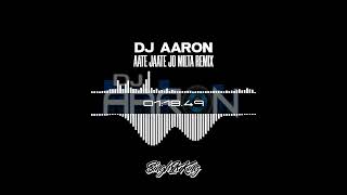 Aate Jaate Jo Milta Remix  DJ Aaron [upl. by Reffinej830]