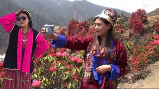 Rhododendron flower exhibition in merak 6May 2024 [upl. by Vasti]