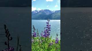 Teton National Park 3 highlight [upl. by Giffy]