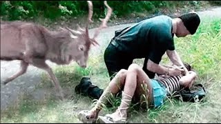 Girl Gave Up Struggle When Pushed Down But A Deer Stopped The Man In An Incredible Way [upl. by Agnew]