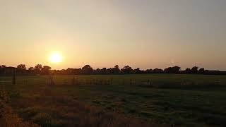 Sunset Windfield Road Menlough Galway 31 August 2024 [upl. by Drud962]