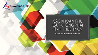 Các khoản phụ cấp không phải tính thuế TNCN [upl. by Hosea]