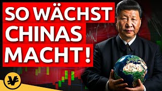 CHINA MONOPOLISIERT die GLOBALE INDUSTRIE  VisualEconomik DE [upl. by Hoopen877]