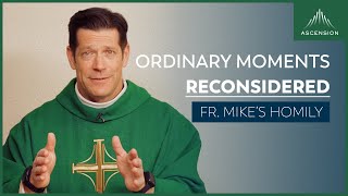 quotHoliness in the Ordinaryquot  3rd Sunday in Ordinary Time Fr Mikes Homily sundayhomily [upl. by Bertie]