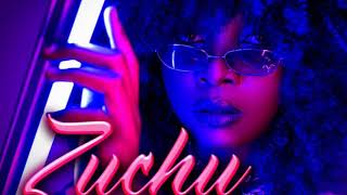 ZuchuHasara official music video [upl. by Wall]