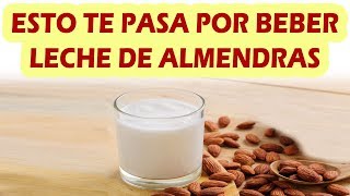 ESTO TE PASA POR BEBER LECHE DE ALMENDRAS Propiedades y Beneficios De La Leche De Almendras [upl. by Marybella]