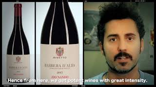 RivettoTastings  Barbera d’Alba DOC Zio Nando 2015 [upl. by Yuht]