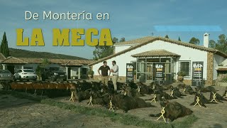 quotMONTERÍA EN LA MECA CON MONTERÍAS RIQUELMEquot en Abenójar  Ciudad Real  el 29 de Octubre del 2022 [upl. by Eillen]