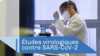 Comprendre le virus pour mieux le combattre  Reportage CNRS [upl. by Sperry152]