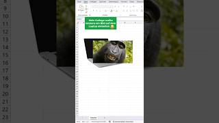 Bilder in Excel einbetten 🚀😅 Excel Tipps Tricks karriere [upl. by Ivor452]