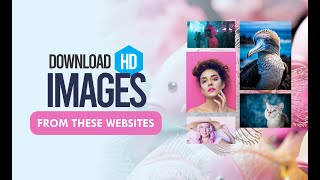 7 Websites To Download Free HD Images And PNG Icons [upl. by Drol]