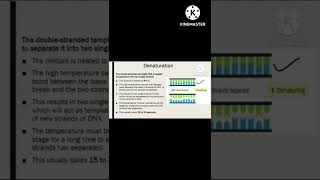 Polymerase Chain Reaction PCR Principle and Steps For lecture visit channelConcepts of Botany [upl. by Annahoj]