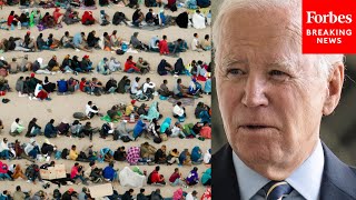 GOP Senator These Are Bidens Real Intentions With The Border [upl. by Enomad]