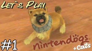 LETS PLAY Nintendogs  Cats  1 Sono tornata in vita ITA [upl. by Annairdua]