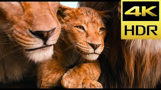 Mufasa The Lion King in Hindi Trailer 2024  4K Ultrahd HDR  Shah Rukh Khan [upl. by Ridan]