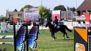 Heritage MF  6 ans jumping maubeuge [upl. by Yovonnda]